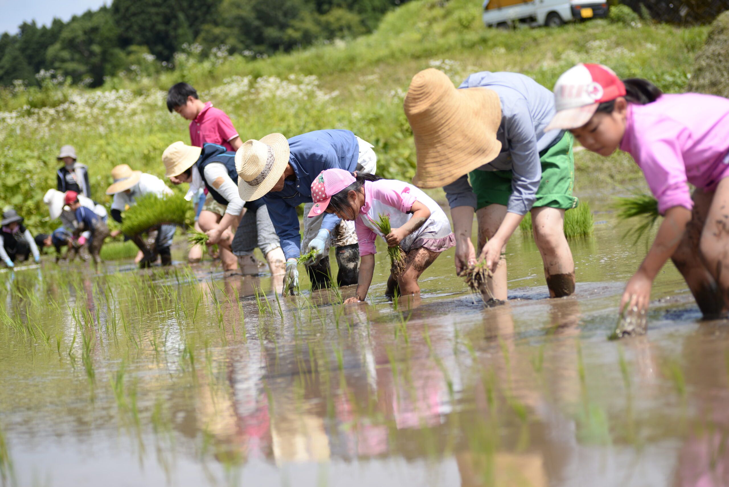 水源棚田お米づくり体験～初夏の田植え（手植え）編～