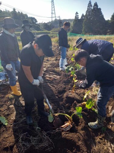 冬の味覚・里芋掘り!里山体験「おいしい村」※お土産付き