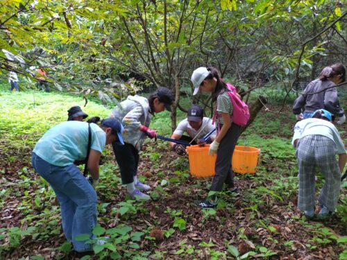初秋の里山で楽しもう！「水源フットパス×栗拾い」